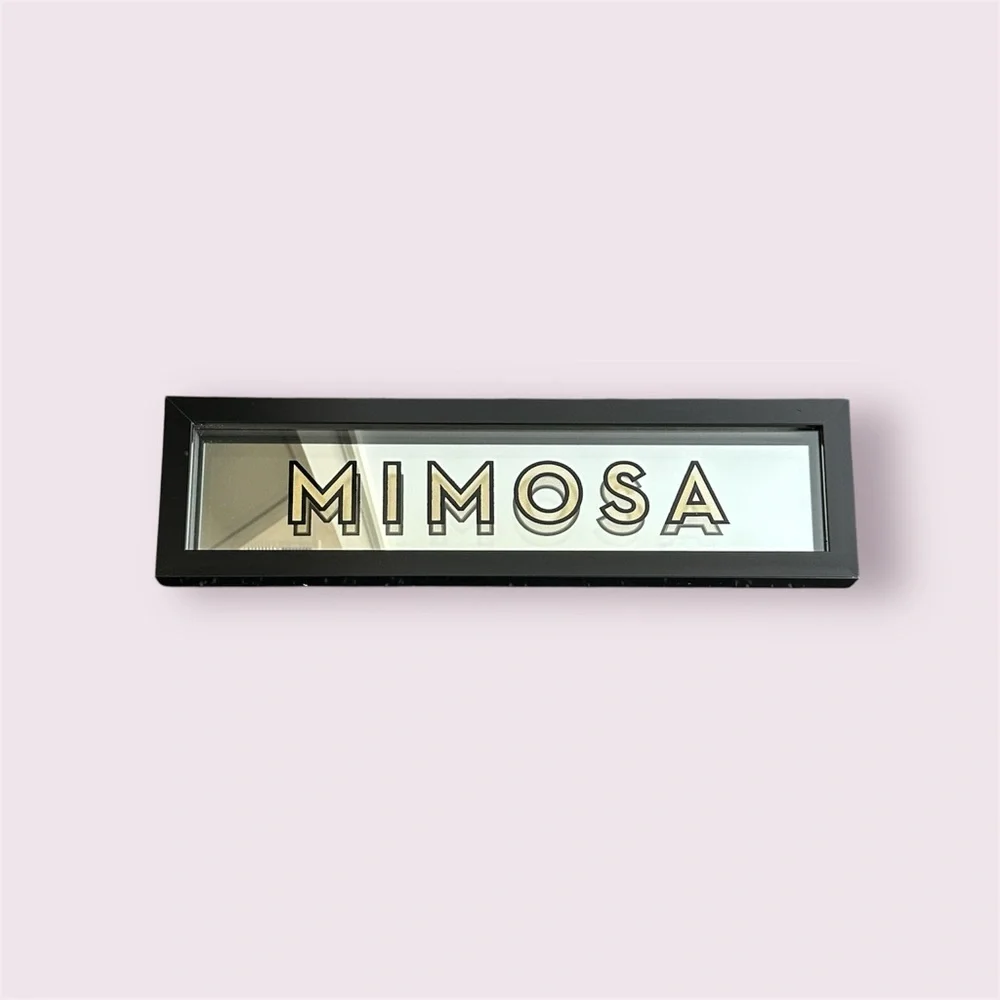 Z Gallerie Mirrored ‘Mimosa’ Framed Wall Art Decorative Home Accent Sign 25x7”